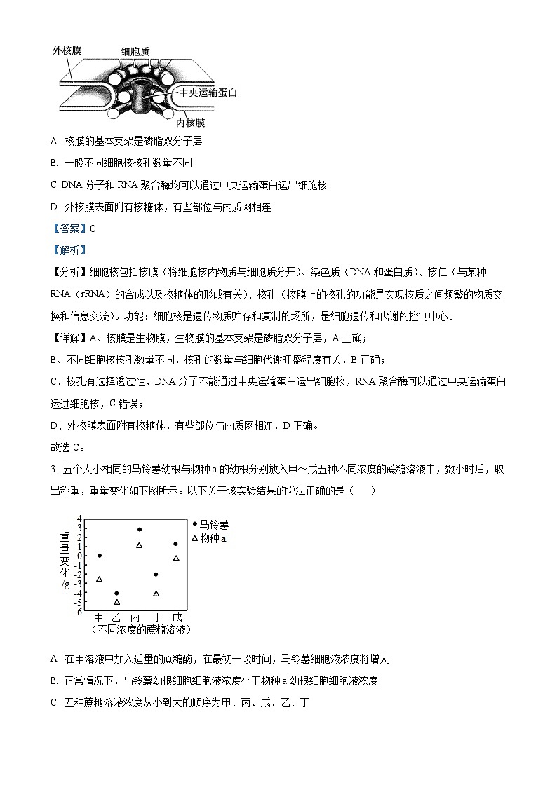 2024届八省八校高三第一次学业质量评价（T8联考）生物02