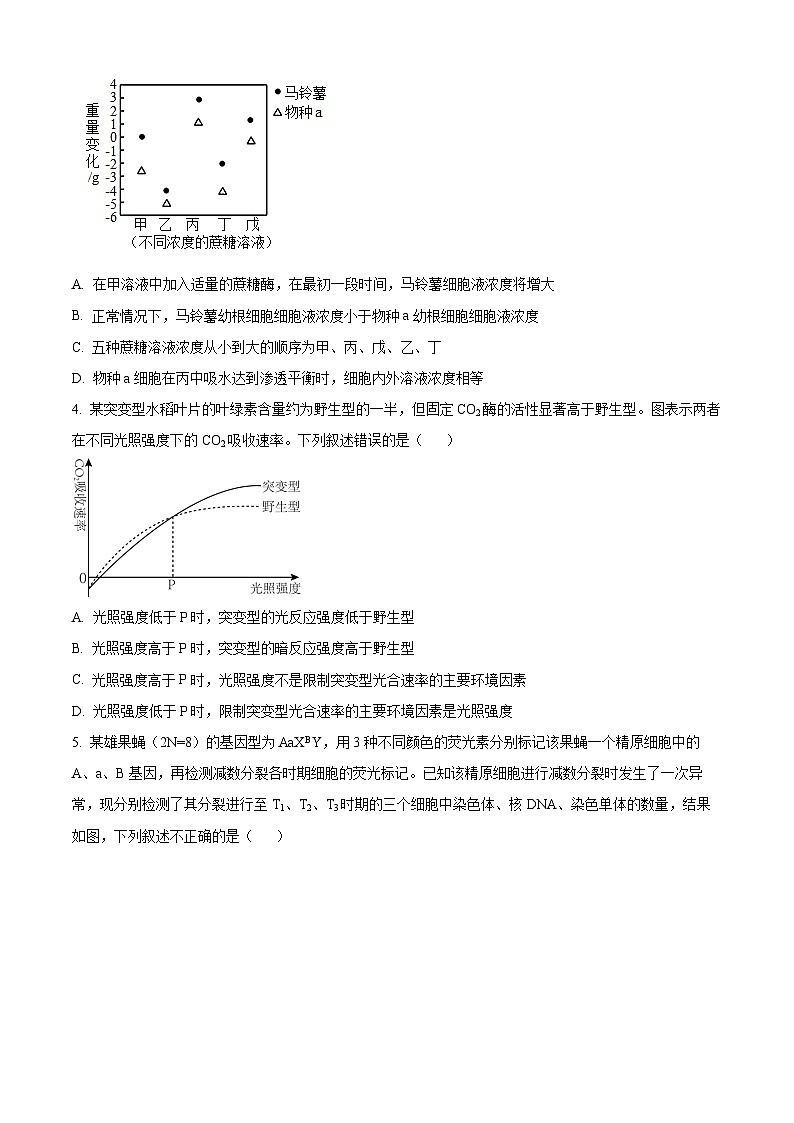 2024届八省八校高三第一次学业质量评价（T8联考）生物02