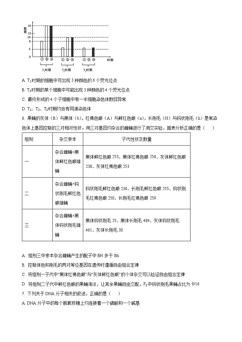 2024届八省八校高三第一次学业质量评价（T8联考）生物03