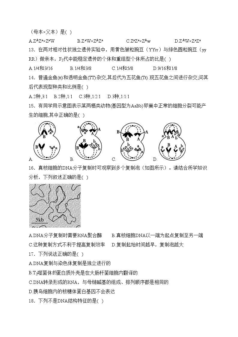 福建省泉港第五中学等五校2023-2024学年高一下学期期中考试生物试卷(含答案)第3页