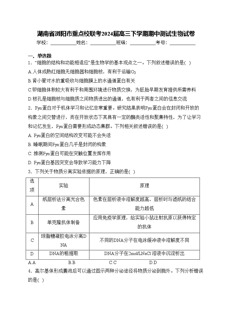 湖南省浏阳市重点校联考2024届高三下学期期中测试生物试卷(含答案)01