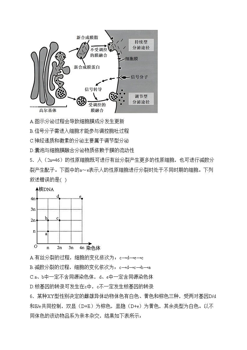 湖南省浏阳市重点校联考2024届高三下学期期中测试生物试卷(含答案)02