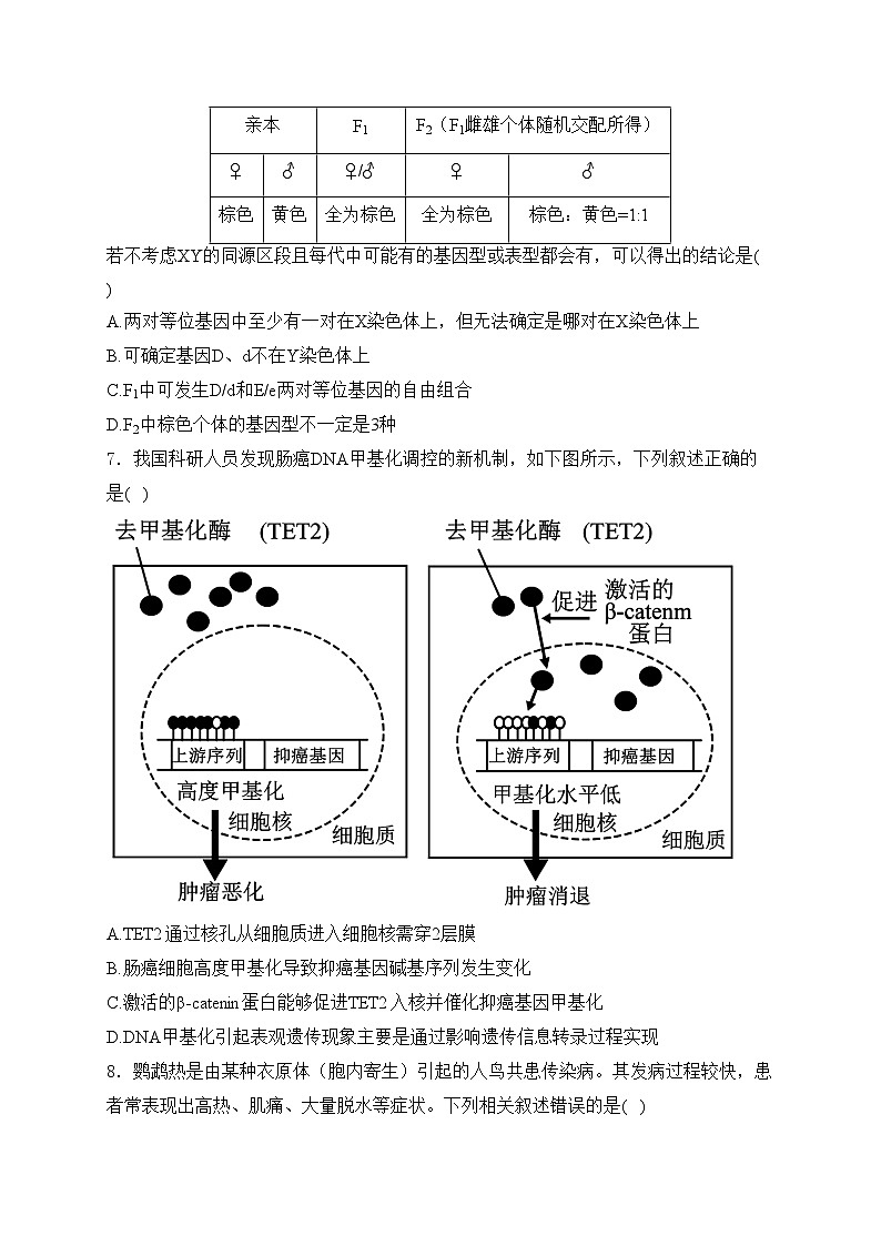 湖南省浏阳市重点校联考2024届高三下学期期中测试生物试卷(含答案)03