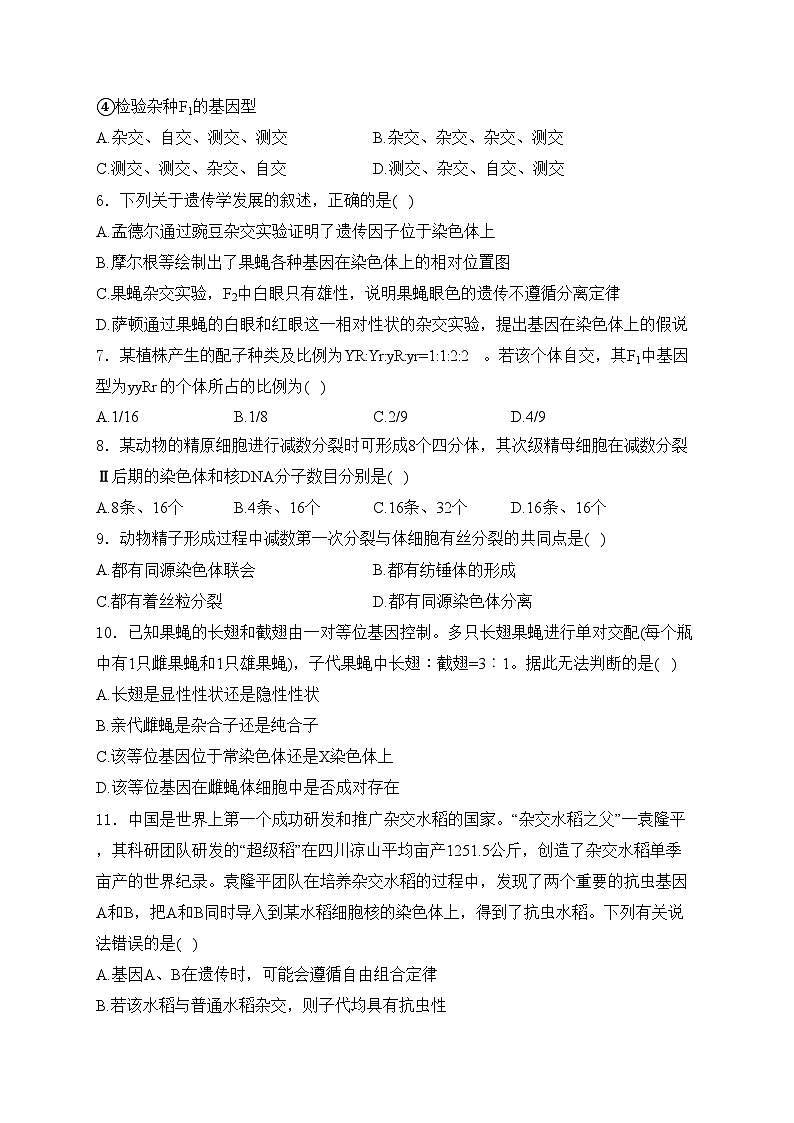 湖南省邵阳市隆回县2023-2024学年高一下学期期末质量检测生物试卷(含答案)02