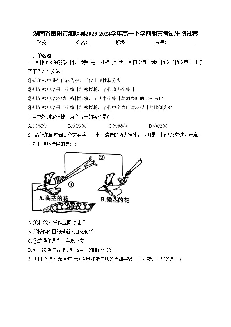 湖南省岳阳市湘阴县2023-2024学年高一下学期期末考试生物试卷(含答案)01