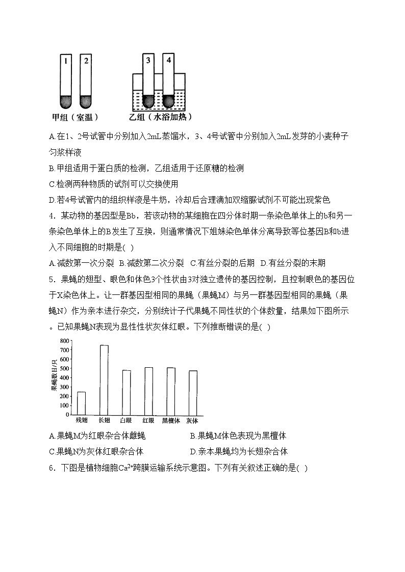 湖南省岳阳市湘阴县2023-2024学年高一下学期期末考试生物试卷(含答案)02