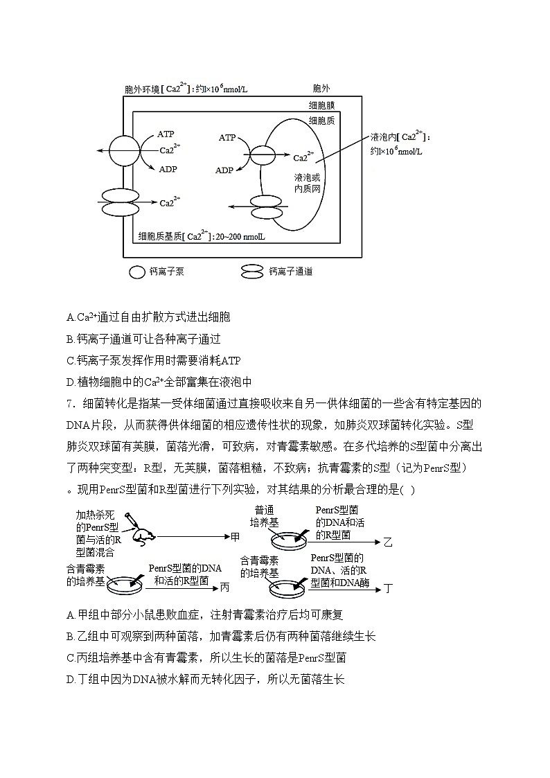 湖南省岳阳市湘阴县2023-2024学年高一下学期期末考试生物试卷(含答案)03