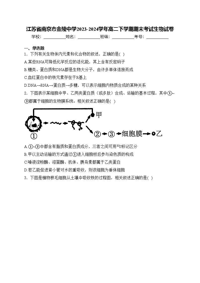 江苏省南京市金陵中学2023-2024学年高二下学期期末考试生物试卷(含答案)01