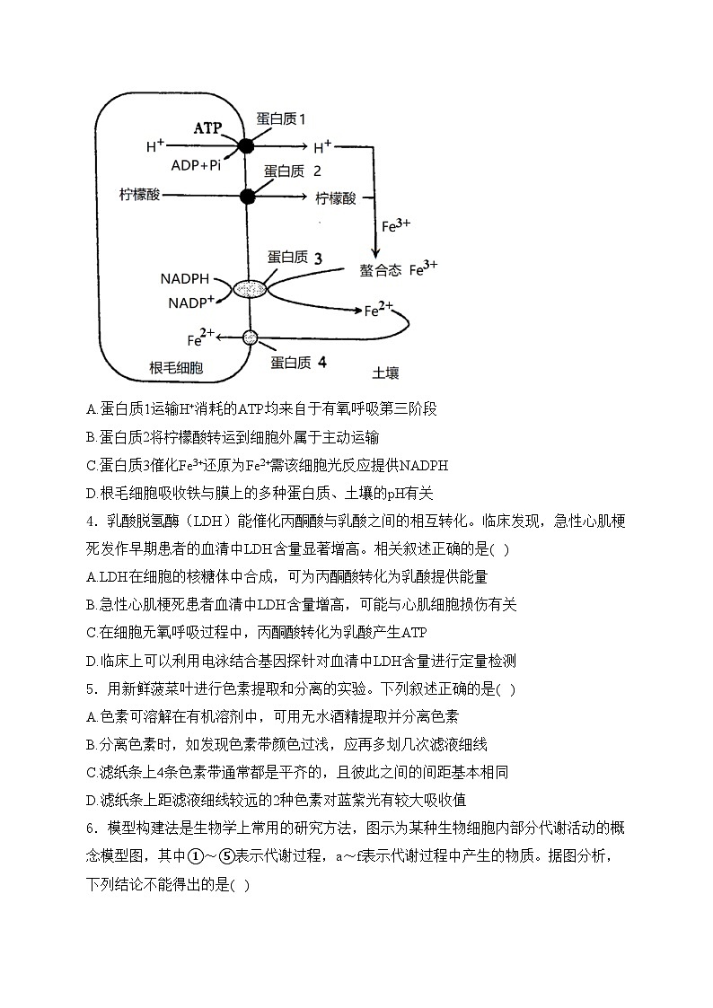 江苏省南京市金陵中学2023-2024学年高二下学期期末考试生物试卷(含答案)02