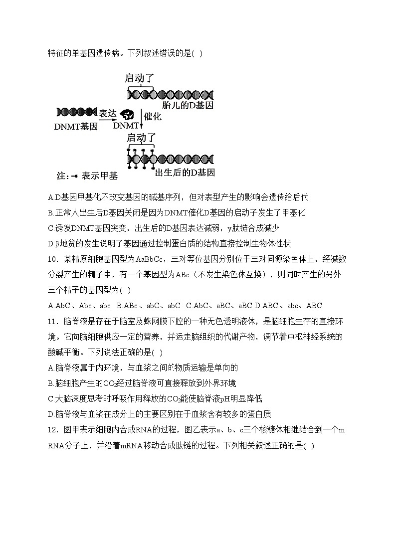 梅河口市第五中学2024-2025学年高二上学期开学考试生物试卷(含答案)03