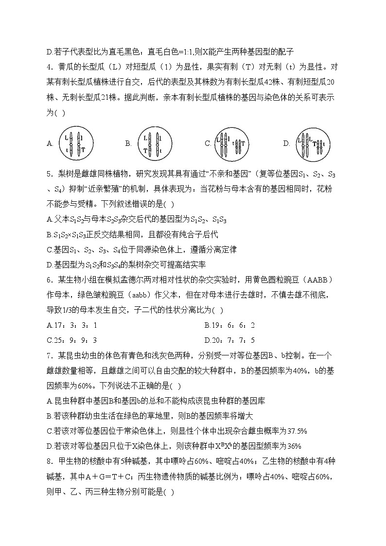 山东省泰安第一中学2023-2024学年高一下学期6月学情检测生物试卷(含答案)02