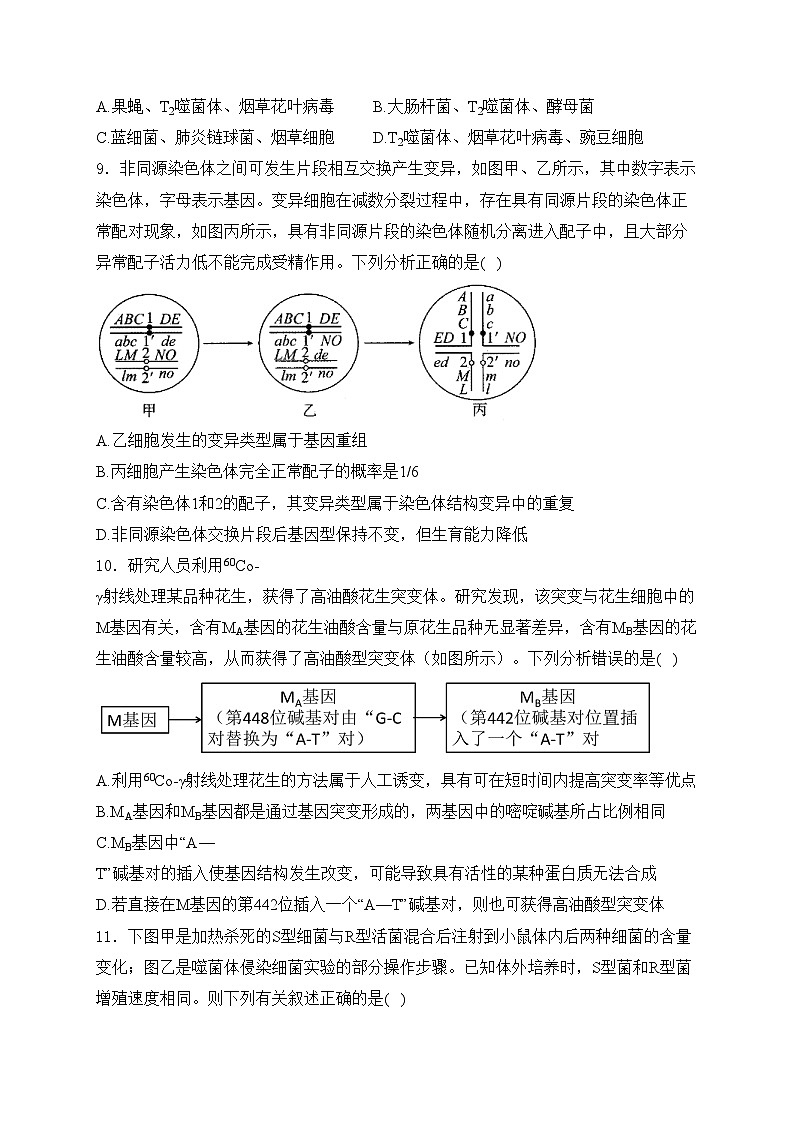 山东省泰安第一中学2023-2024学年高一下学期6月学情检测生物试卷(含答案)03