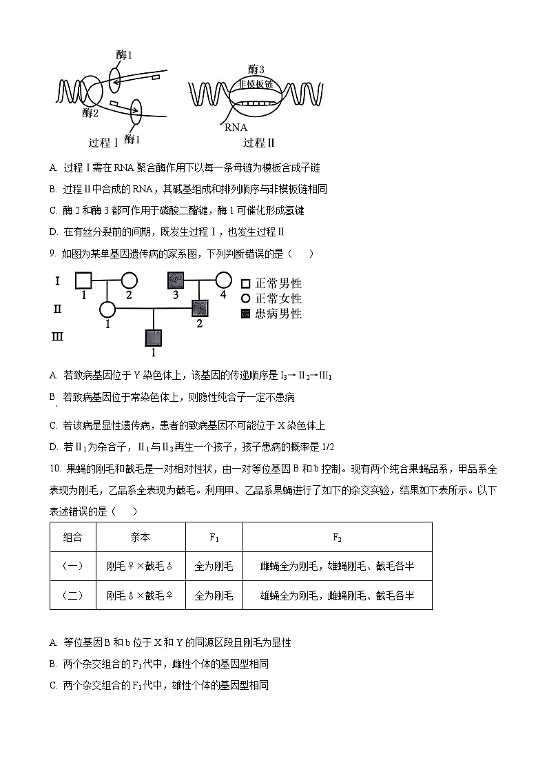 云南省大理白族自治州大理市大理白族自治州民族中学2024-2025学年高三上学期开学生物试题（原卷版）第3页