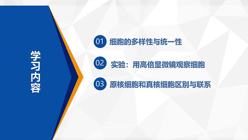 人教版（2019）高中生物必修一1.2《细胞的多样性和统一性》（第1课时）课件03