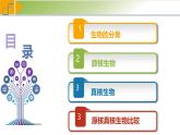 人教版（2019）高中生物必修一1.2《细胞的多样性和统一性》（第2课时）课件