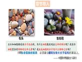 人教版（2019）高中生物必修一2.1《细胞中的元素和化合物》（2课时）课件