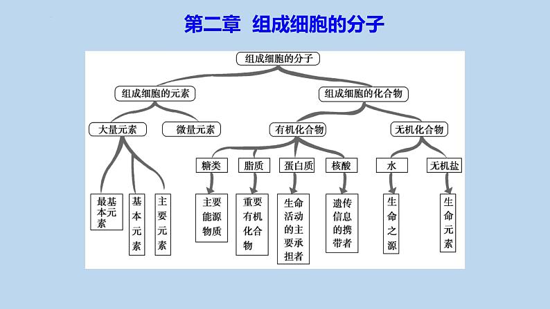 人教版（2019）高中生物必修一2.1《细胞中的元素和化合物》（2课时）课件03