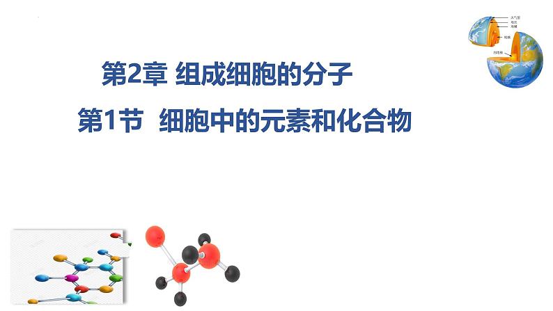 人教版（2019）高中生物必修一2.1《细胞中的元素和化合物》（2课时）课件04