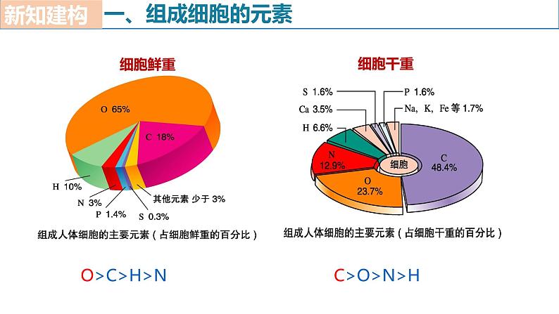 人教版（2019）高中生物必修一2.1《细胞中的元素和化合物》（2课时）课件08