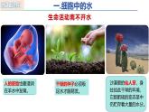 人教版（2019）高中生物必修一2.2 《细胞中的无机物》(1课时）课件