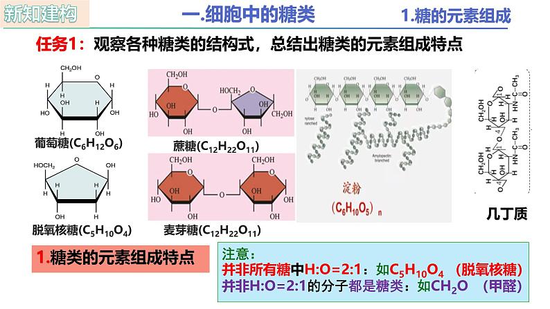 人教版（2019）高中生物必修一2.3 《细胞中的糖类和脂质》(2课时) 课件05
