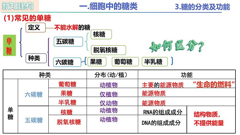 人教版（2019）高中生物必修一2.3 《细胞中的糖类和脂质》(2课时) 课件08