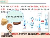 人教版（2019）高中生物必修一2.4《蛋白质是生命活动的主要承担者》（第2课时）课件