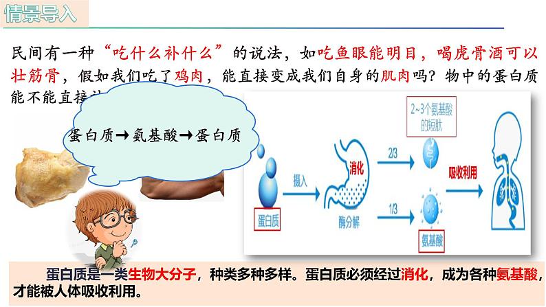 人教版（2019）高中生物必修一2.4《蛋白质是生命活动的主要承担者》（第2课时）课件02