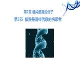 人教版（2019）高中生物必修一2.5《核酸是遗传信息的携带者》（1课时）课件