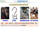 人教版（2019）高中生物必修一2.5《核酸是遗传信息的携带者》（1课时）课件