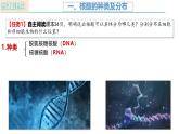 人教版（2019）高中生物必修一2.5《核酸是遗传信息的携带者》（1课时）课件