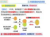 人教版（2019）高中生物必修一3.1《细胞膜的结构和功能》（第2课时）课件