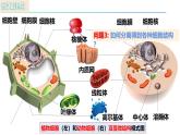 人教版（2019）高中生物必修一3.2 《细胞器之间的分工合作》（第1课时）课件