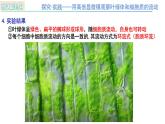 人教版（2019）高中生物必修一3.2《细胞器之间的分工合作》（第2课时）课件
