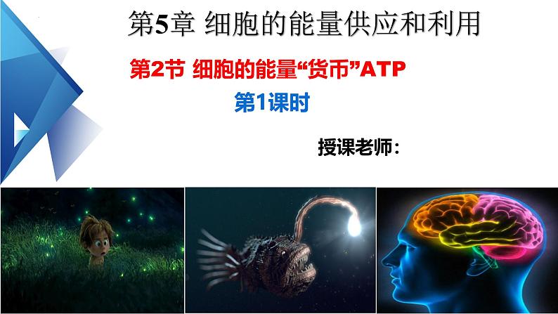 人教版（2019）高中生物必修一5.2《细胞的能量“货币”ATP》（第1课时）课件第1页