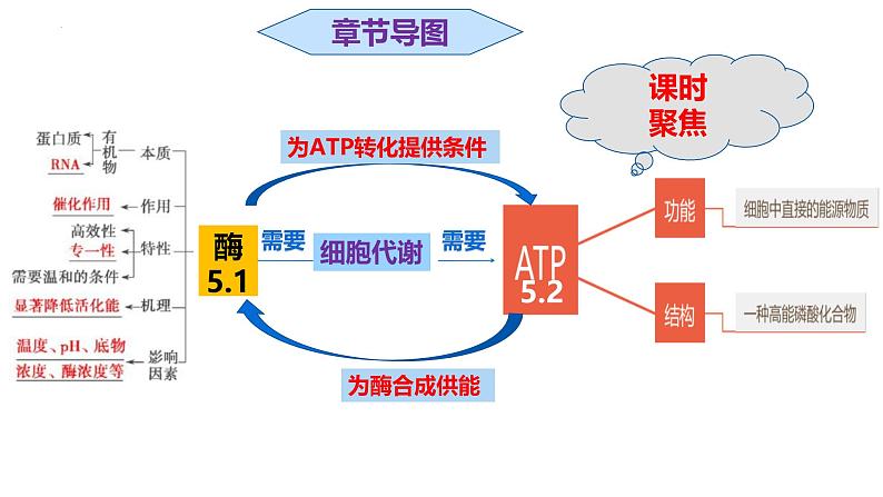 人教版（2019）高中生物必修一5.2《细胞的能量“货币”ATP》（第1课时）课件第2页