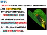 人教版（2019）高中生物必修一5.2《细胞的能量“货币”ATP》（第1课时）课件