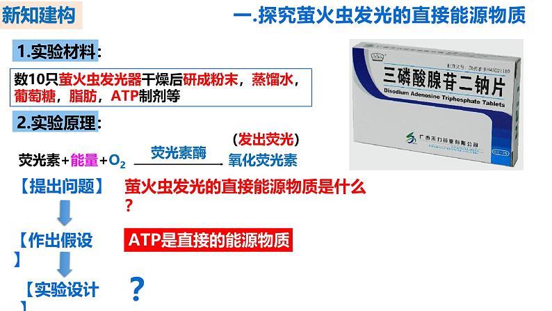 人教版（2019）高中生物必修一5.2《细胞的能量“货币”ATP》（第1课时）课件第6页