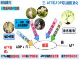 人教版（2019）高中生物必修一5.2《细胞的能量“货币”ATP》（第2课时）课件