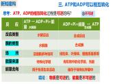 人教版（2019）高中生物必修一5.2《细胞的能量“货币”ATP》（第2课时）课件