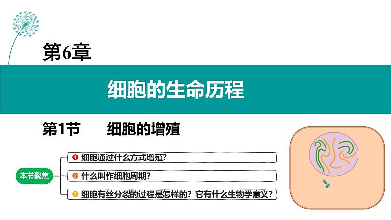 人教版（2019）高中生物必修一6.1《细胞的增殖》（2课时）课件01