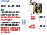 人教版（2019）高中生物必修一6.1《细胞的增殖》（2课时）课件