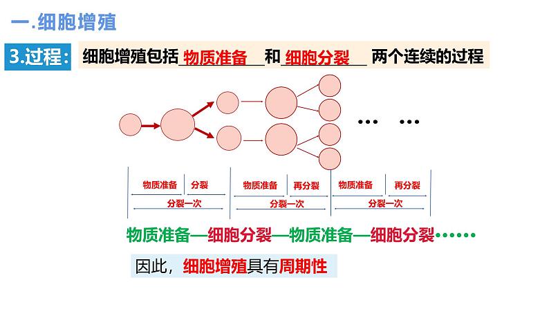 人教版（2019）高中生物必修一6.1《细胞的增殖》（2课时）课件05