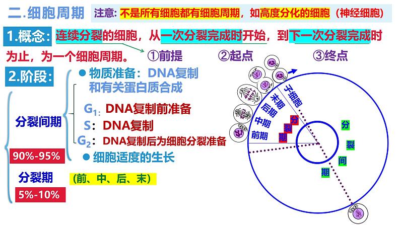 人教版（2019）高中生物必修一6.1《细胞的增殖》（2课时）课件06