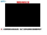 人教版（2019）高中生物必修一6.2《细胞的分化》（1课时）课件