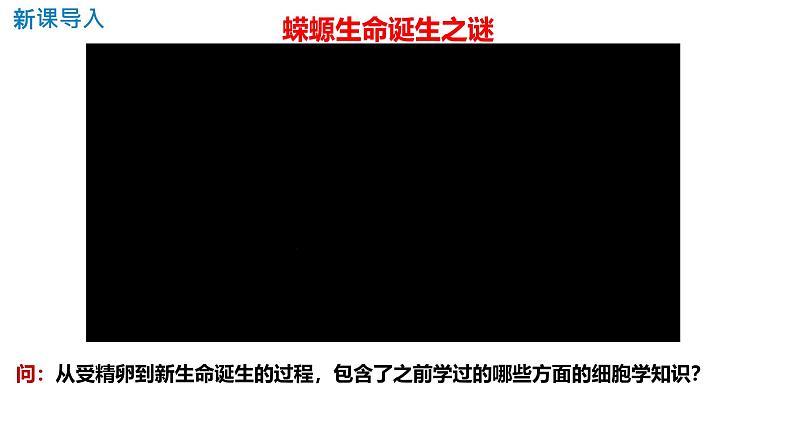 人教版（2019）高中生物必修一6.2《细胞的分化》（1课时）课件02