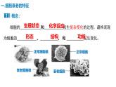 人教版（2019）高中生物必修一6.3《细胞的衰老和死亡》(1课时）课件