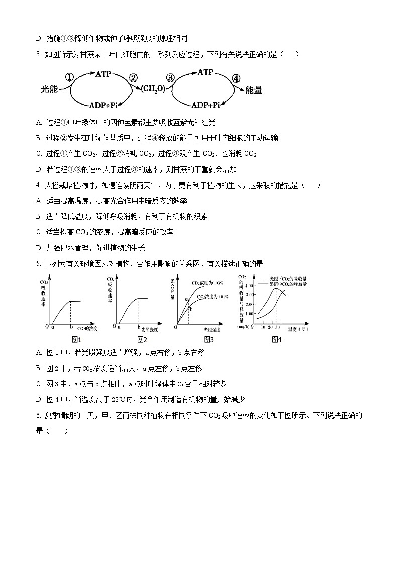 河南省林州市第一中学2025届高三上学期7月调研考试生物试题（Word版附解析）第2页