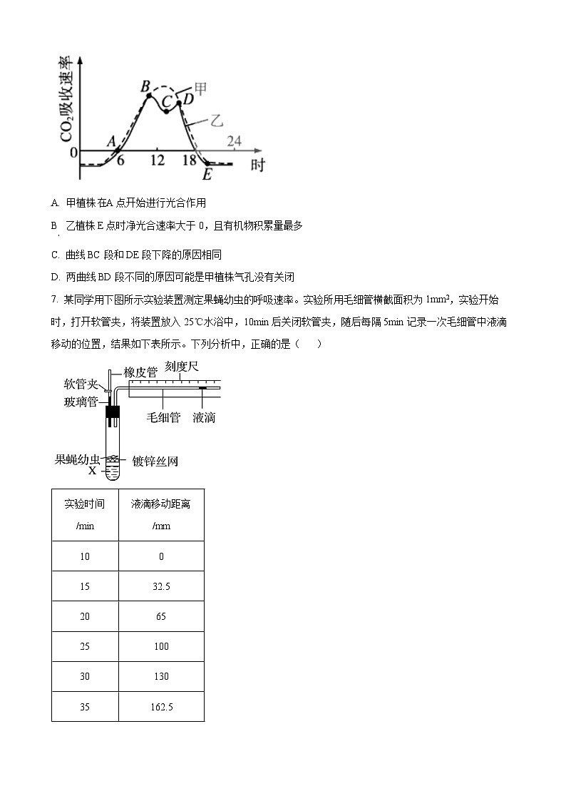 河南省林州市第一中学2025届高三上学期7月调研考试生物试题（Word版附解析）第3页