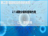 人教版（2019）高中生物必修二2.1《减数分裂和受精作用》（二）：受精作用（1课时）课件